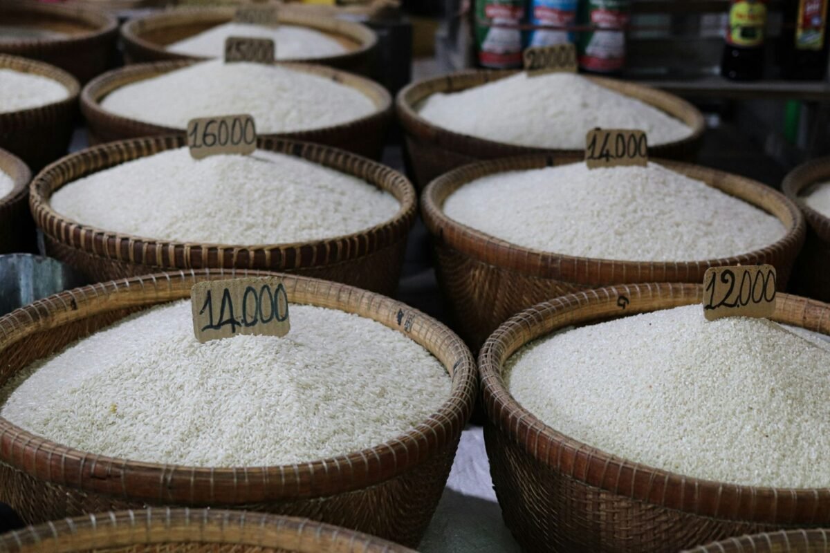 Informe reveló la presencia de arsénico en más de 100 marcas de arroz en EE UU