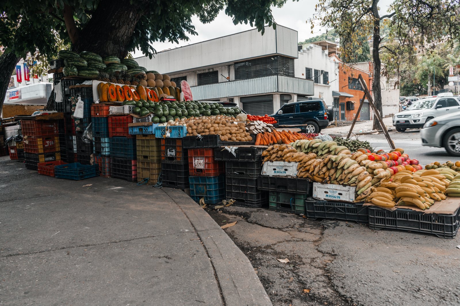 Entre frutas y asfalto: retratos de los vendedores ambulantes de Caracas