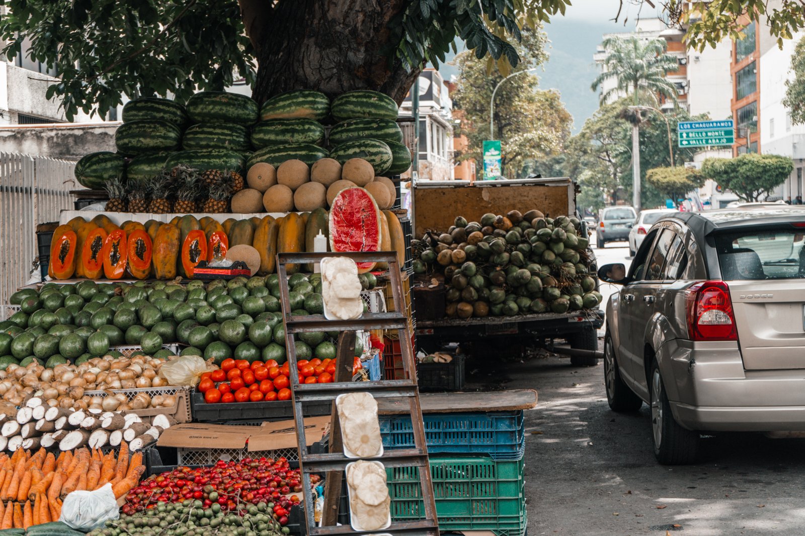 Entre frutas y asfalto: retratos de los vendedores ambulantes de Caracas