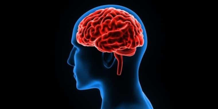Cuatro actividades que contribuyen con la agilidad mental y estimulan el cerebro