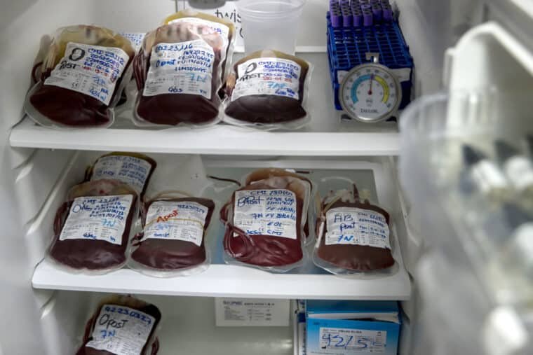 ¿Quiénes pueden donar sangre en Venezuela y cuáles son los requisitos?