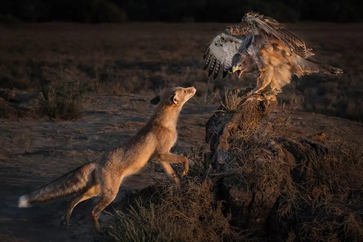 Las fotografías ganadoras del concurso National Geographic Travelle