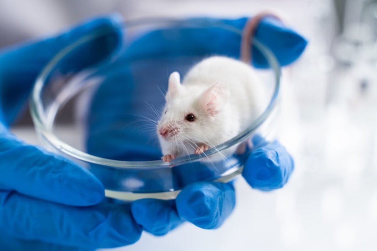 Un estudio con ratones demostró la eficacia de la aspirina para prevenir la metástasis