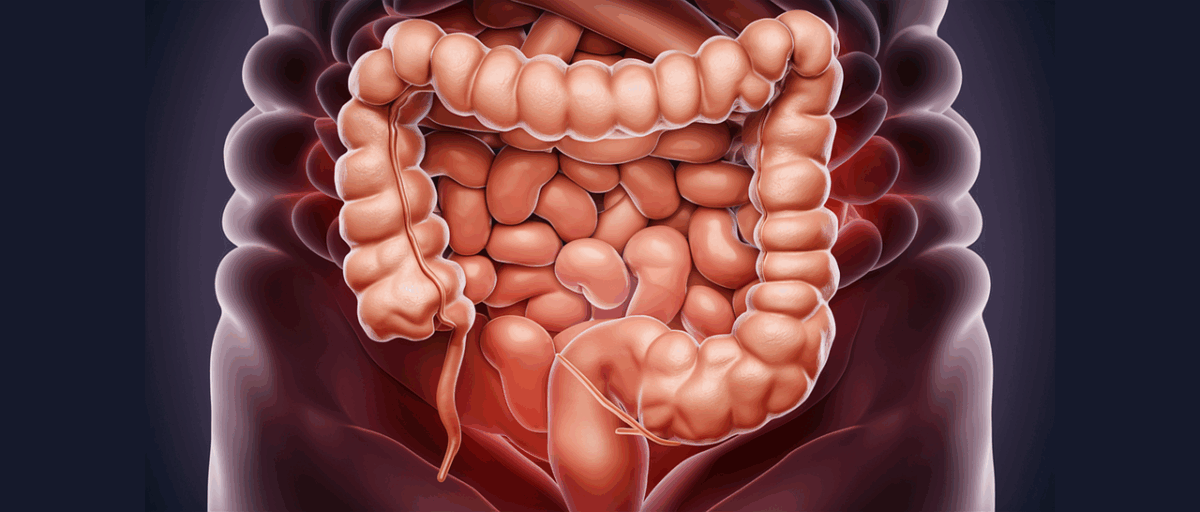 Cuál es la importancia de la microbiota intestinal para la salud