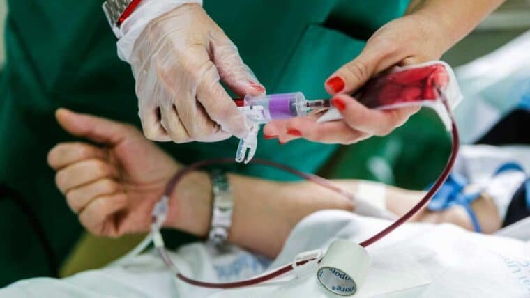 ¿Quiénes pueden donar sangre en Venezuela y cuáles son los requisitos?