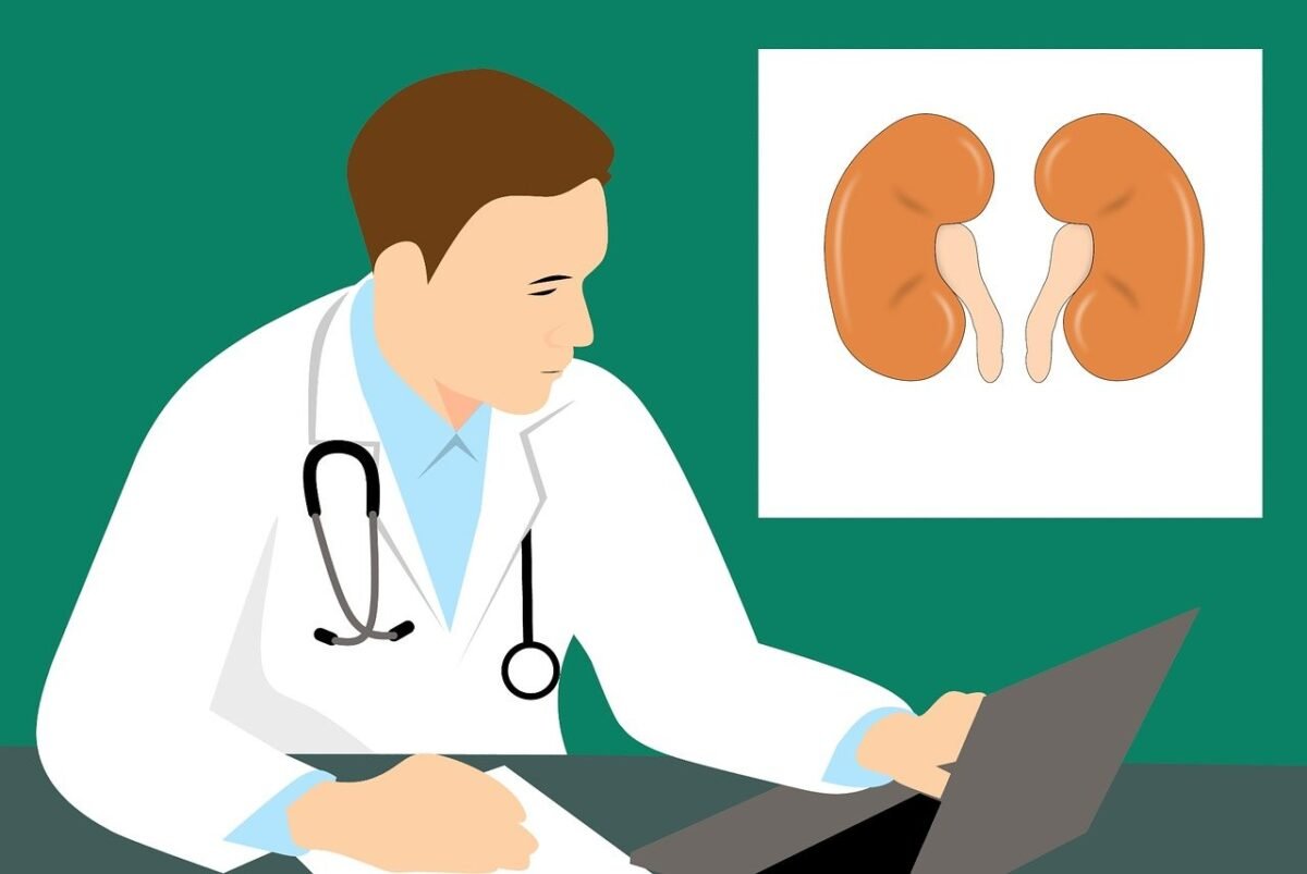 ¿Qué es la medicina culinaria y cómo beneficia a la salud renal?