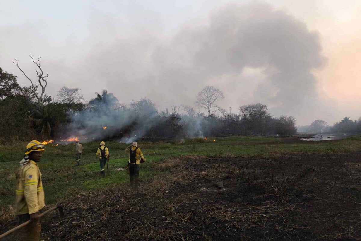 Suramérica registró cifra récord de incendios forestales en los últimos 14 años