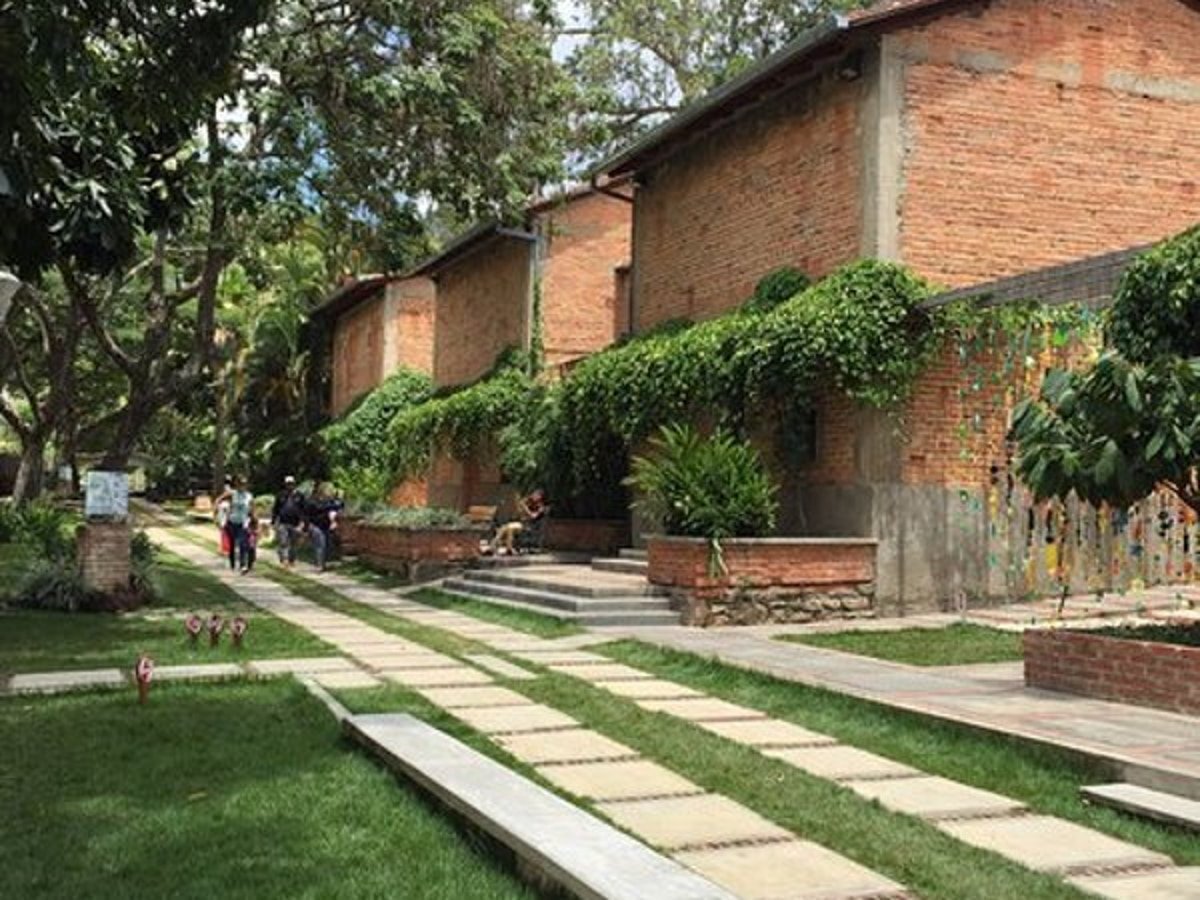 Guía de sitios abiertos para disfrutar de la naturaleza en la Gran Caracas