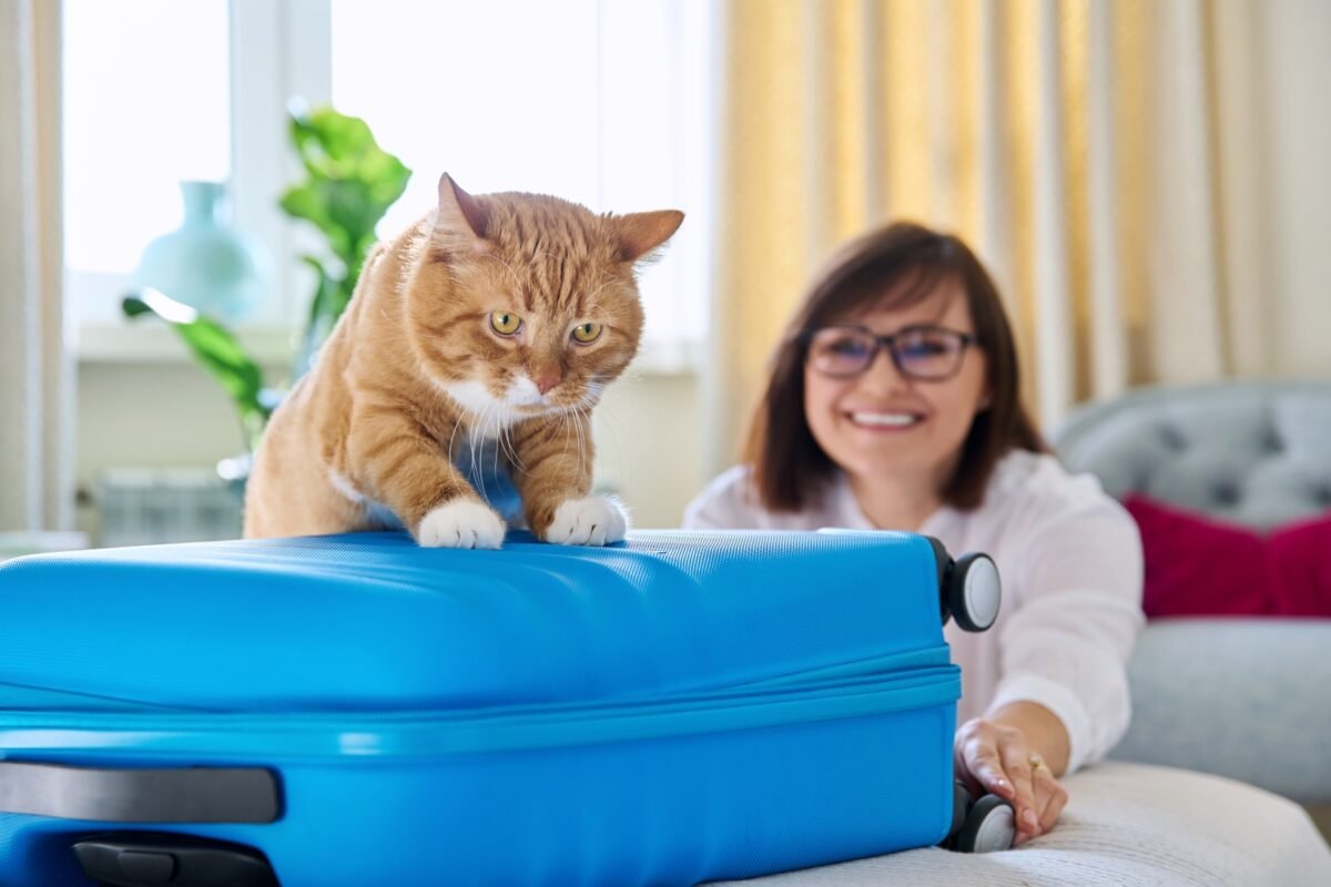 ¿Qué se necesita para viajar con mascotas dentro de Venezuela?