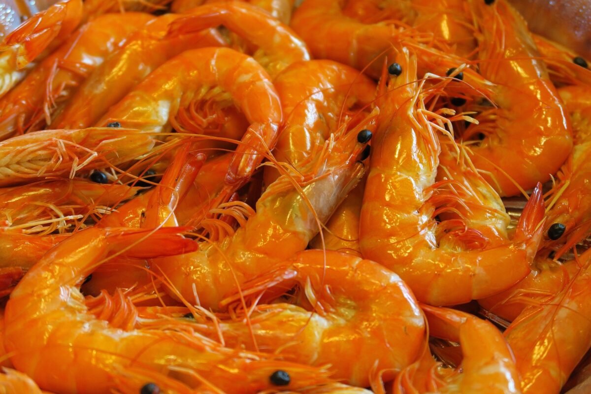Los siete alimentos que no se deben comer después de su fecha de vencimiento 