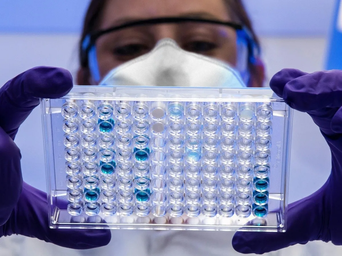 #TeExplicamos | ¿Qué es el virus Nipah y por qué causa alarma en la India?