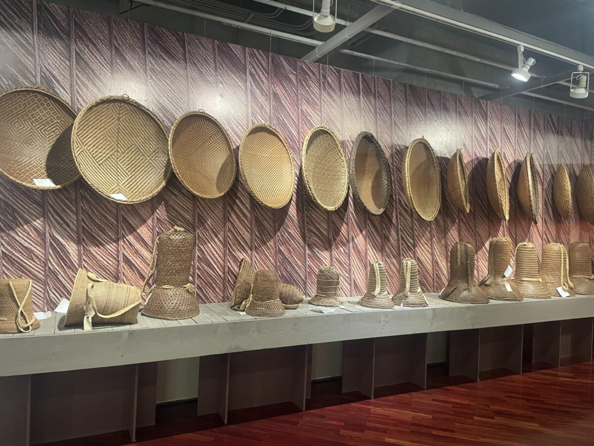 ¿Qué hacer en Caracas durante las dos últimas semanas de febrero?