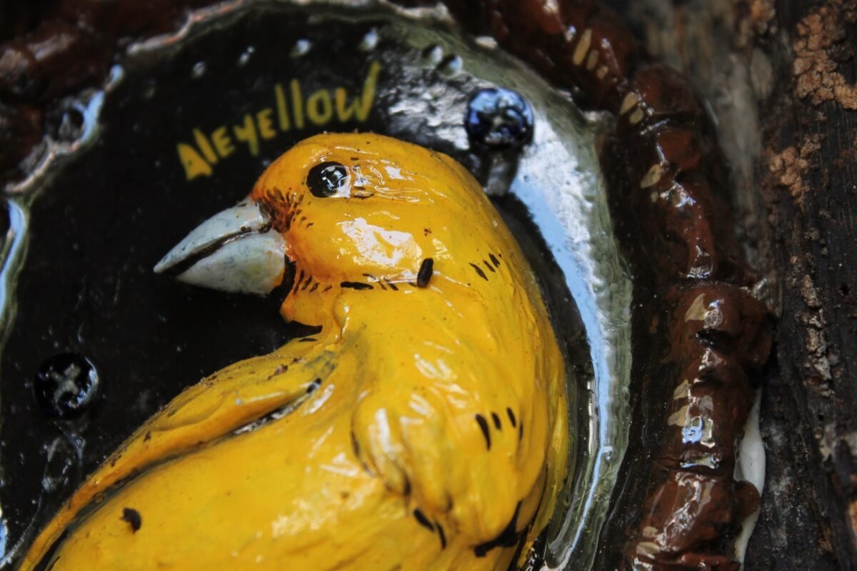 Alejandra Cedeño y su misión de sanar con arte las cicatrices de la ciudad