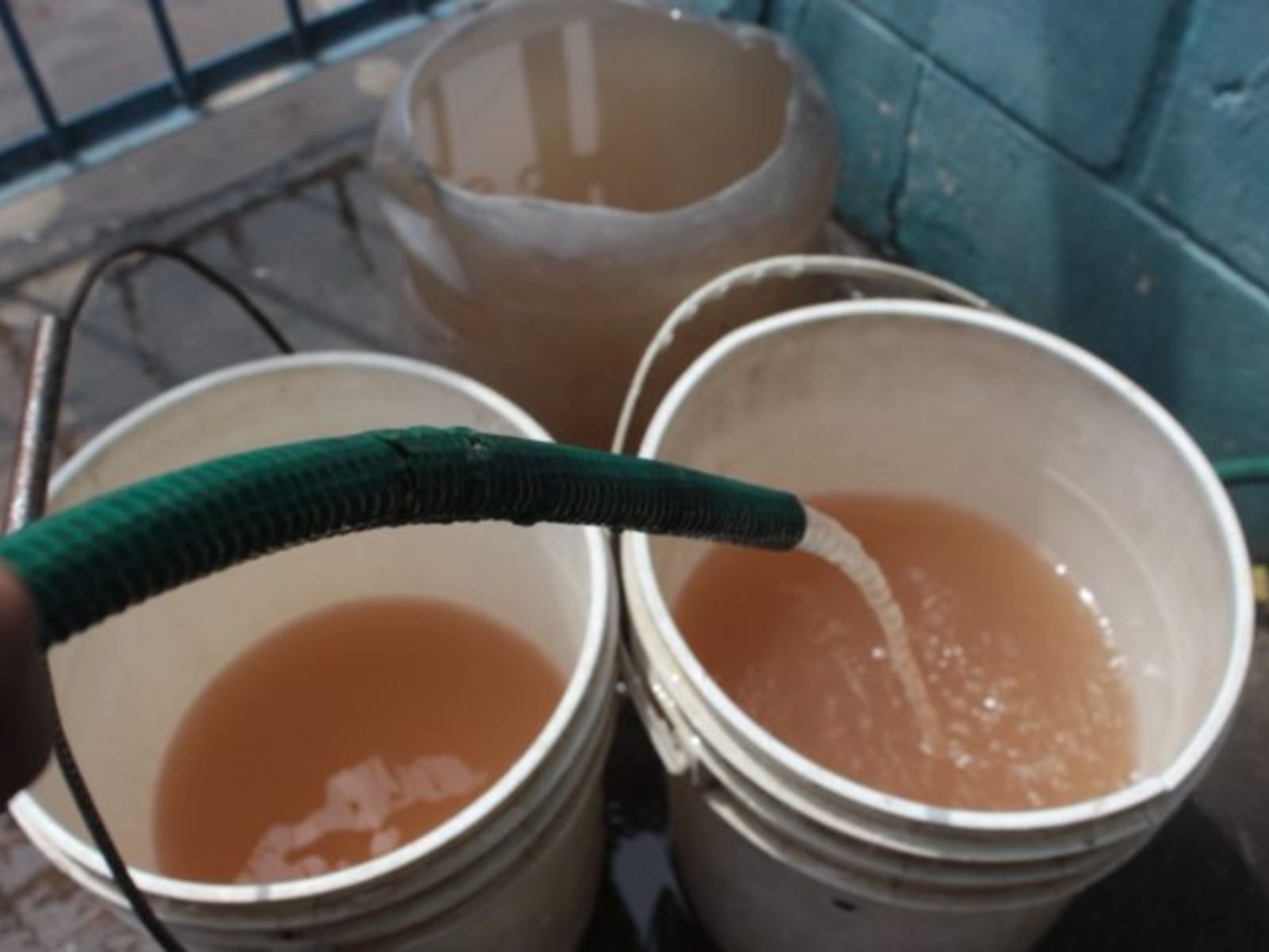 ONG reportó que la minería ilegal fue el principal problema ambiental de Venezuela en 2024