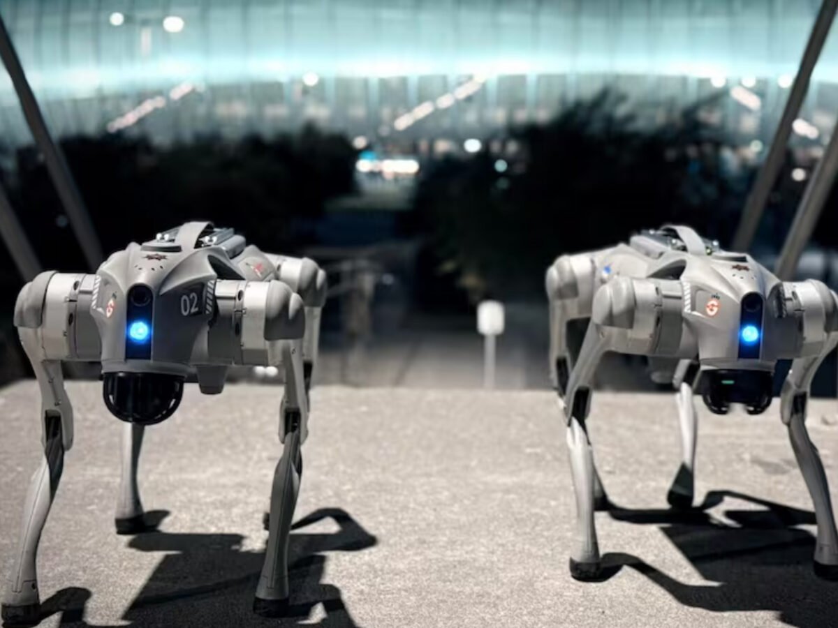 Alcaldía de Chacao desplegará perros robots para monitorear el municipio