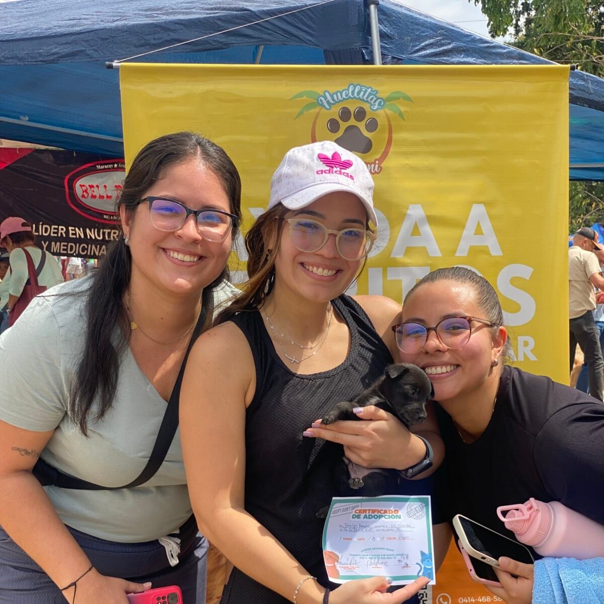 “Perri guías”: el proyecto que transforma el turismo y la vida de los perros en Choroní