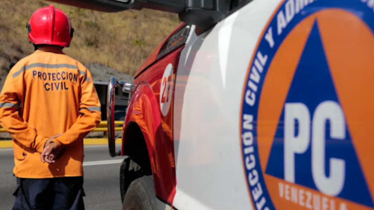 Borrador automático