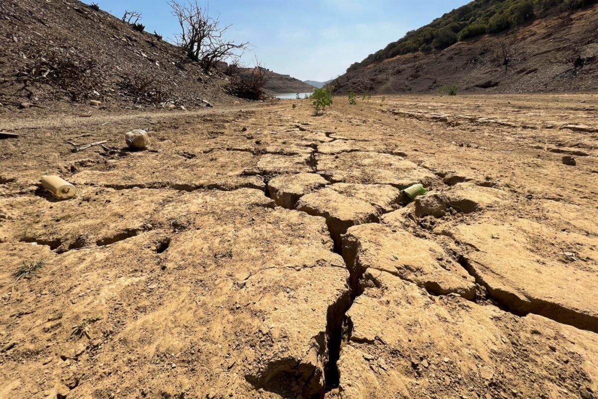 #TeExplicamosElDía | Martes 7 de abril El cambio climático agravará las sequías: estudio reveló que serán más largas e intensas