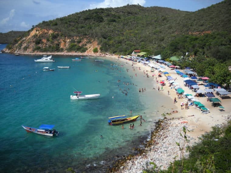 Sector turismo de Mochima expresó su preocupación por la presencia del coral invasor unomia en el parque nacional 