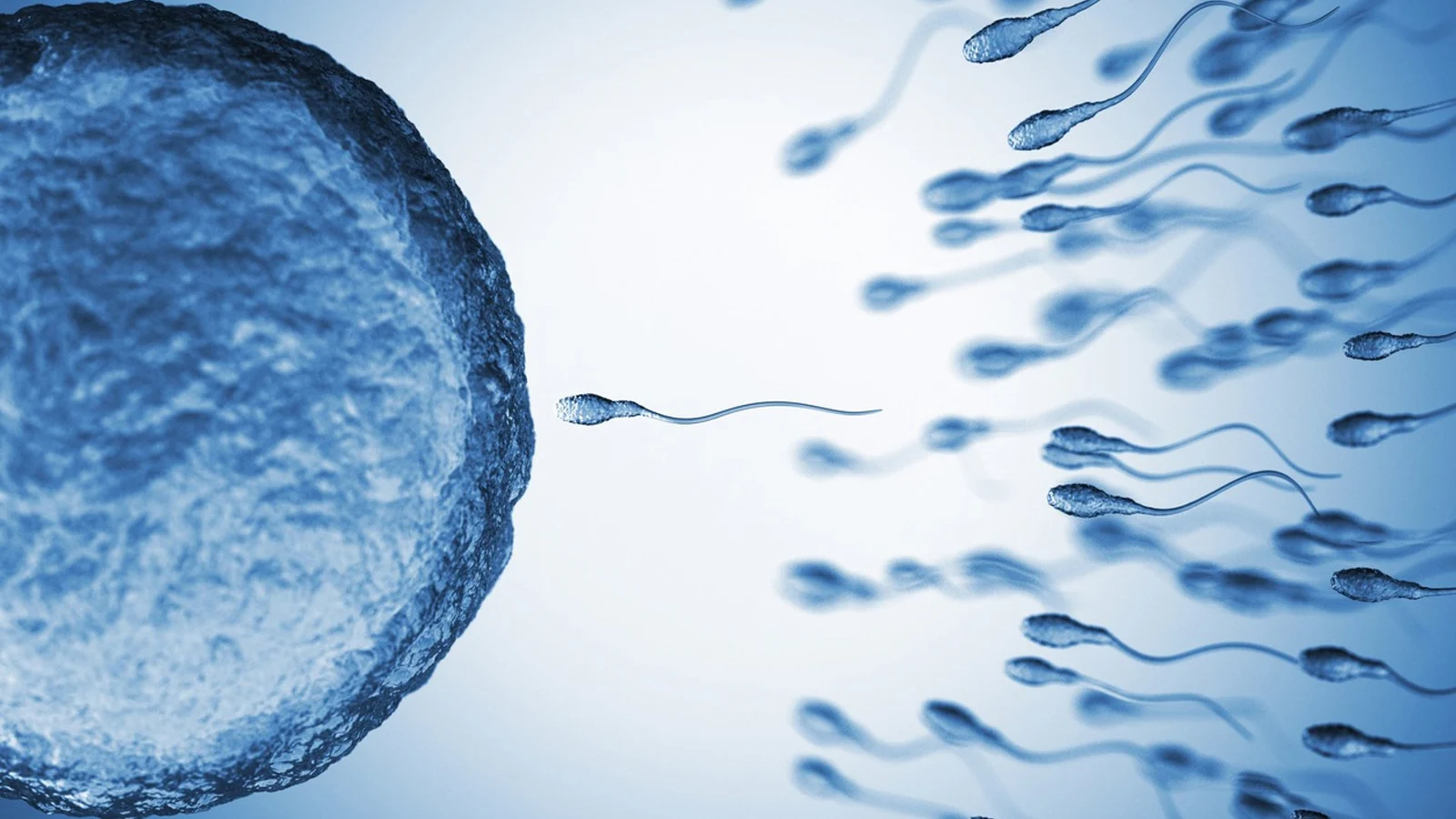 Un estudio halla 42 compuestos químicos de uso cotidiano en el semen humano que podrían afectar a la salud reproductivaEuropa Press