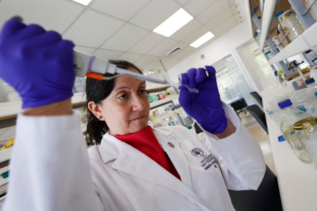 La prometedora vacuna chilena contra el hantavirus que busca financiamiento para su fase clínica