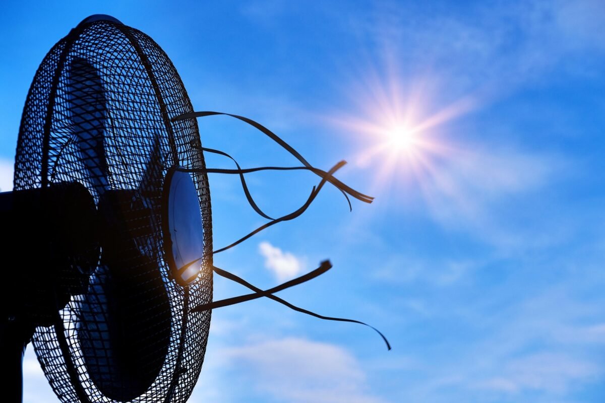Condiciones climáticas extremas y calor mortal: algunos de los pronósticos mundiales para los próximos 5 años 